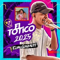 El Totico (Guarapo 2025) [feat. LA DNA] - Single - Elian Gonzalez