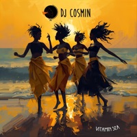 Vitamin Sea - Single - DJ Cosmin