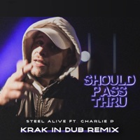 Should Pass Thru (feat. Charlie P) [Krak in Dub Remix] - Single - Steel Alive & Krak In Dub