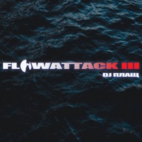FLOWATTACK 3 - DJ ПЛАЩ