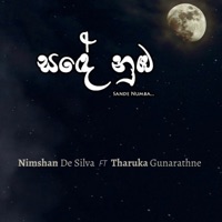 Sande Numba (feat. Tharuka Gunarathne) - Single - Nimshan De Silva