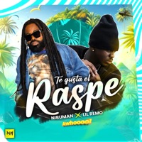 Te gusta el raspe (feat. lil remo) - Single - Nibuman