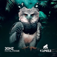 Fatal Frame - Single - 30Hz