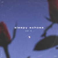 sleepy echoes vol. 4 - EP - vesky