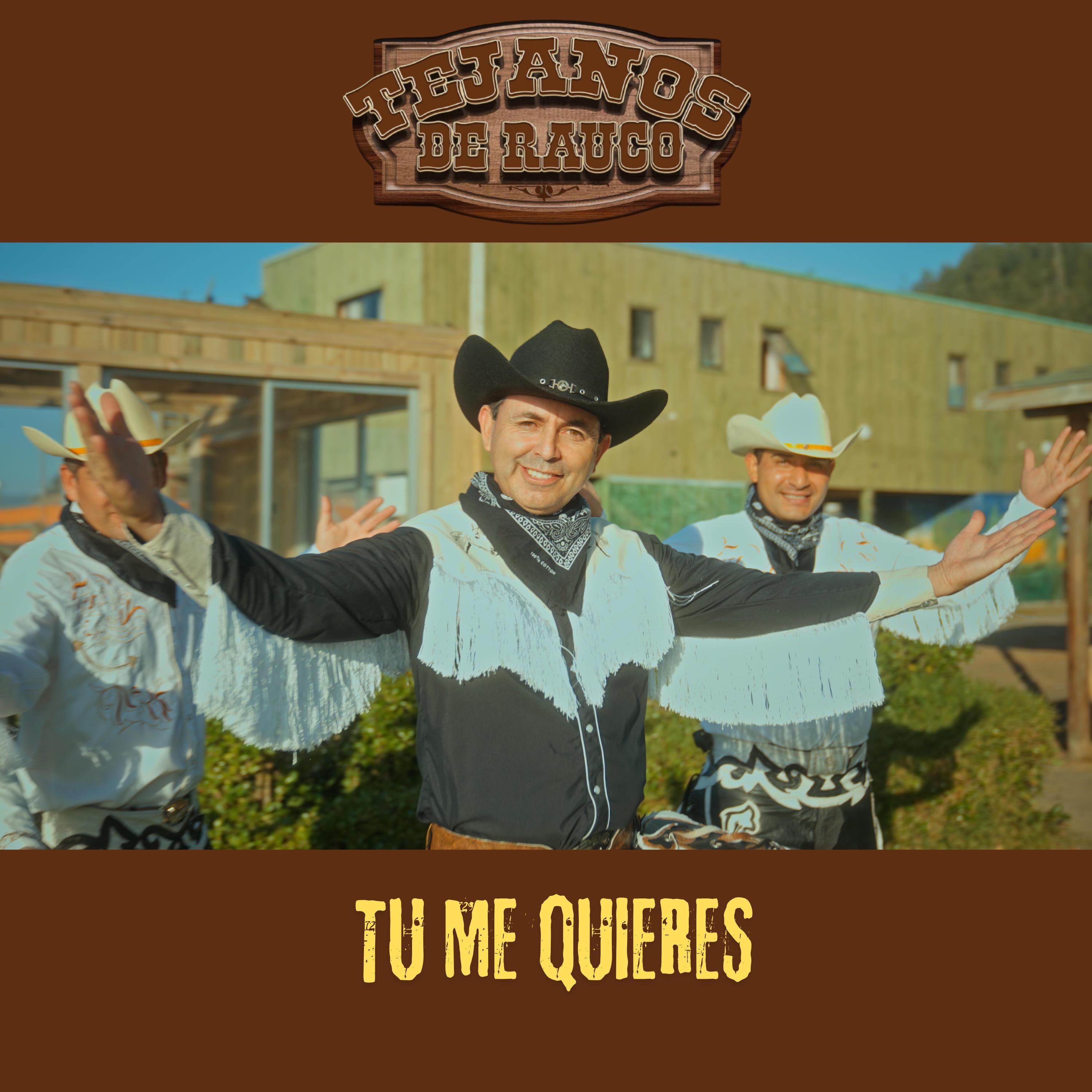 Tu Me Quieres - Single