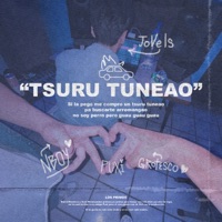 Tsuru Tuneao (feat. N-Boy) - Single - Grotesco <3