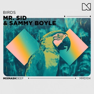 Birds - Single