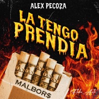 La Tengo Prendia - Single - Alex Pecoza