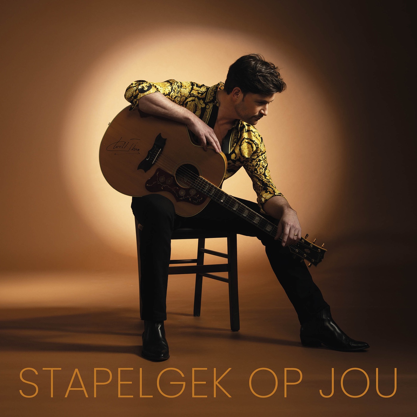 David Vandyck - Stapelgek Op Jou (2025)