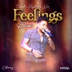 Feelings (D Ninja Edit) - Single