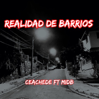 REALIDAD DE BARRIOS (feat. midb) - Single