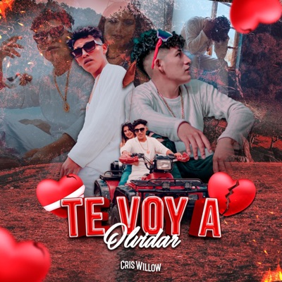 Te Voy A Olvidar - Single