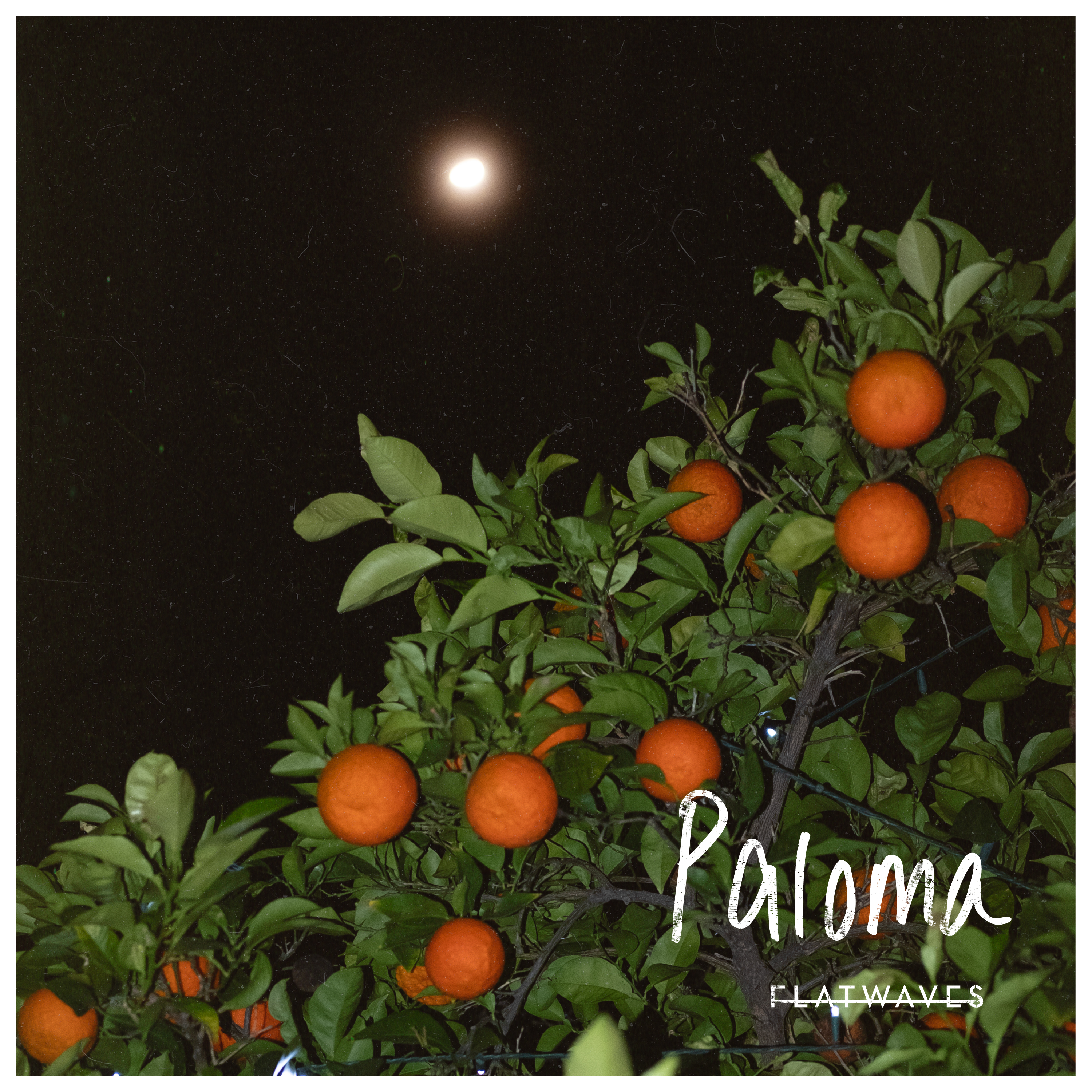 Paloma - Single