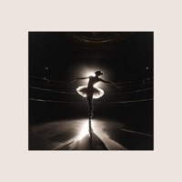 The Birth of the Modern - Single - Eagle Lake