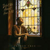 Cayden Cruz - Didn't We Almost Have It All artwork