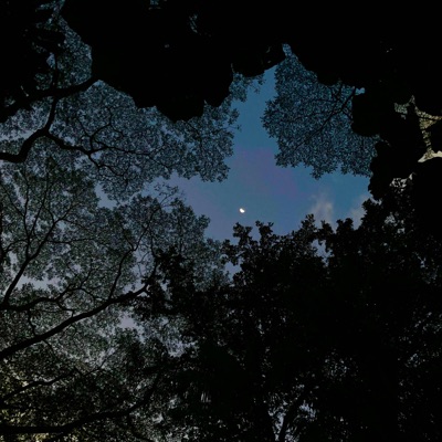 In the Light - Single