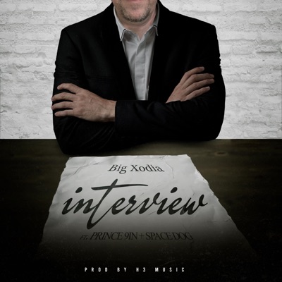 The Interview (feat. Prince 9in & Space Dog) - Single