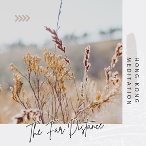 The Far Distance