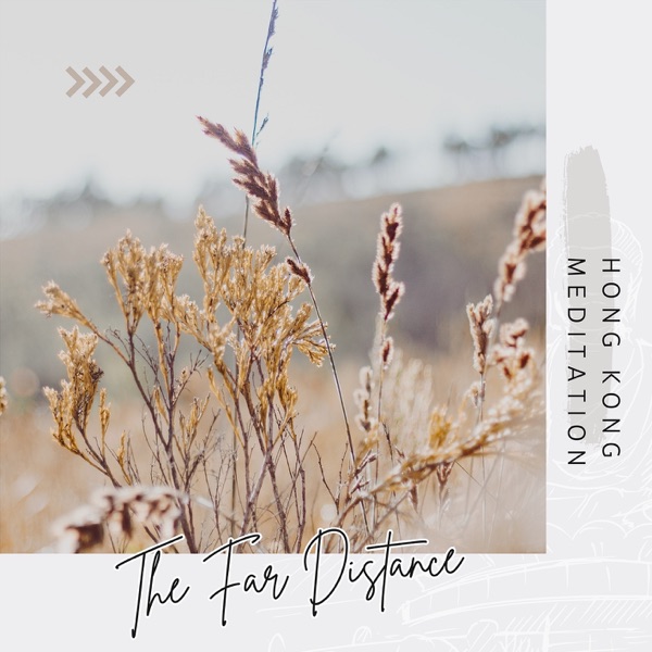 The Far Distance