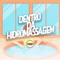 Dentro da Hidromassagem (feat. Prime Funk) - Single - MC Mauricio da V.I, mp40 & DJ MAU MAU GORILA MUTANTE