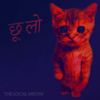 (Cat) Choo Lo / Khada Hu Aaj Bhi Wahi - MemeMandir