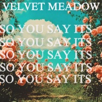 So You Say Its - Single - Velvet Meadow