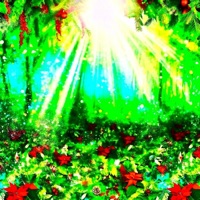 Majestueux (feat. Odd Coal) - Single - Wil-Seiden