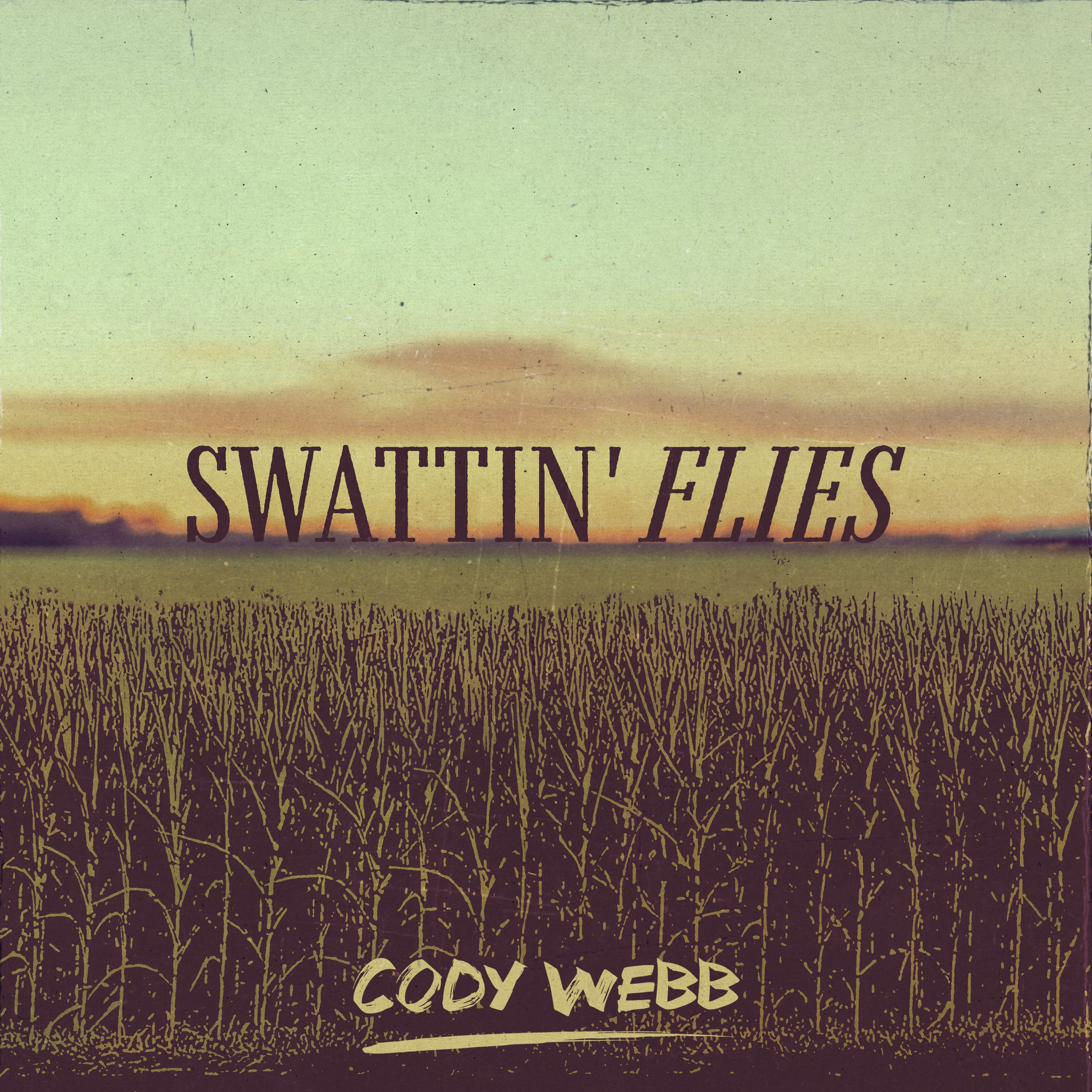Cody Webb - Swattin' Flies