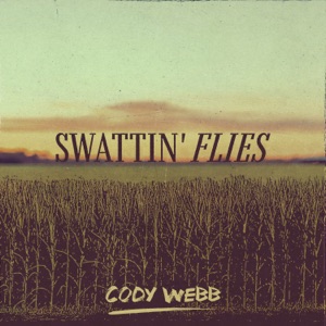 Swattin' Flies - Single