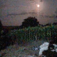 every hurt - Single - les & nilöwh.