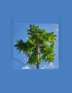 Oshova सुनें, म्यूज़िक वीडियो देखें, बायो पढ़ें, दौरे की तारीखें और बहुत कुछ देखें!