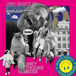 One Night in Stockholm (Matt Lewis Recovery Remix)