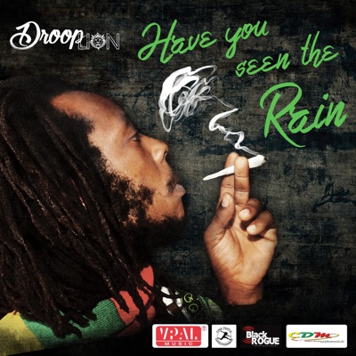 Have You Seen the Rain - Single