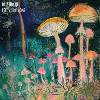 Feels Like Home - Single - Bliz Nochi