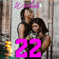 22 - Single - Wadude