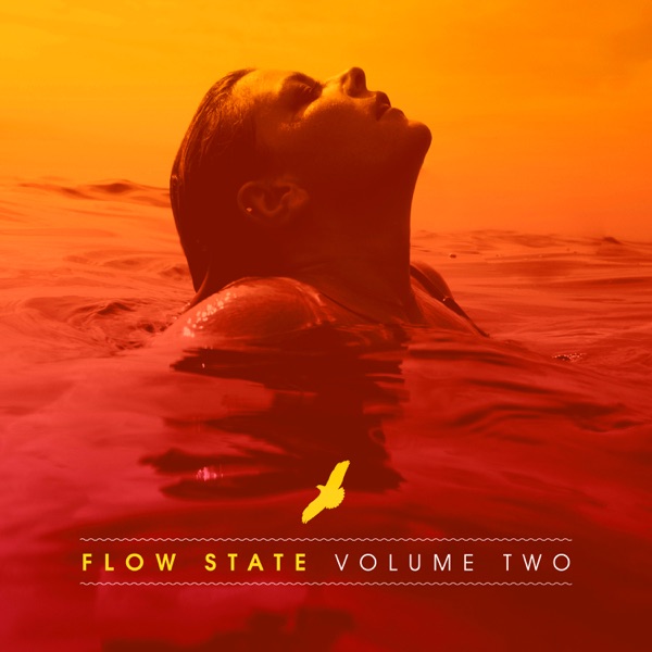 Technimatic: Flow State, Vol. 2 (DJ Mix)
