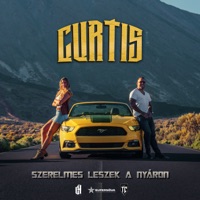 Szerelmes leszek a nyáron - Single - Curtis