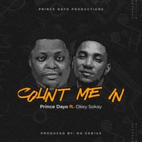 Count me In (feat. Okey Sokay) - Single - Prince Dayo