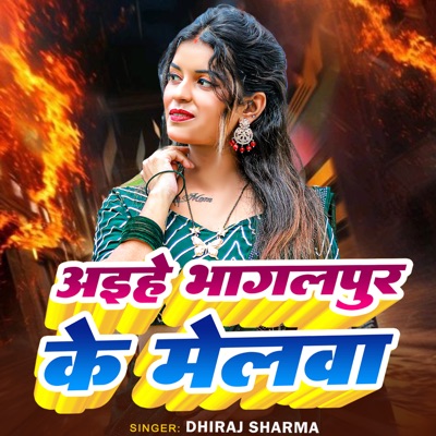Aaihe Bhaglpur Ke Melwa - Single