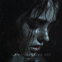 Say You Love Me - Single - Azulo, GEWOONRAVES & Zentryc