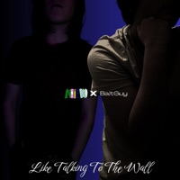 Like Talking To The Wall (feat. BaltGuy) - Single - Notepad