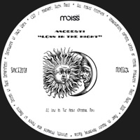 Low in the Night - Single - Modesti
