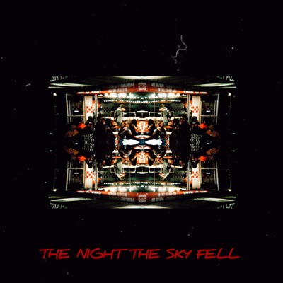 THE NIGHT THE SKY FELL
