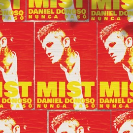 Nunca Pasó Mist & Daniel Donoso
