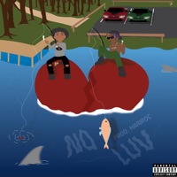 NO LUV (feat. HariRoc) - Single - iAYT