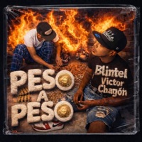 Peso A Peso (feat. El Blintel & Chagon) - Single - Mueca House