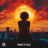 Risk It All - Single - Bump Flicker, Pulso Claro & VLXN