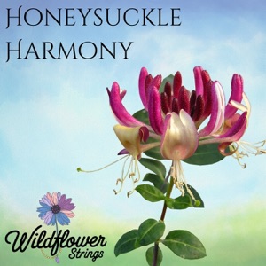Honeysuckle Harmony