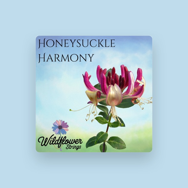 Wildflower Strings's avatar