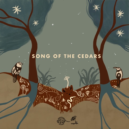 Album artwork